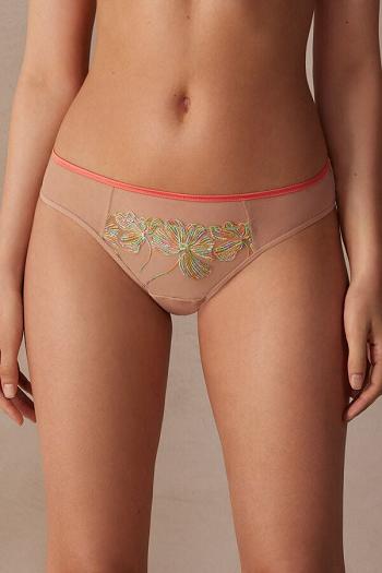 Intimssimi Candy Colors Panties Multicolor | YUSVQ69346