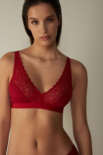 Intimssimi Lara Triangle Bra in Lace Red | FUSUI40599