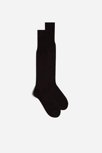 Intimssimi Tall Sateen Egyptian Cotton Socks Brown | USJZR67483