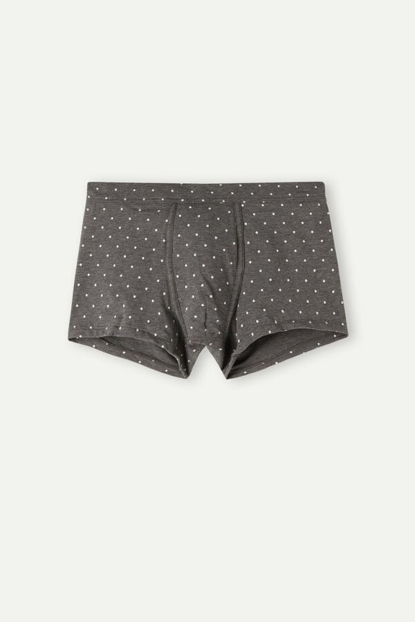 Intimssimi Dotted Boxers in Stretch Supima® Cotton Grey | GUSEC24574