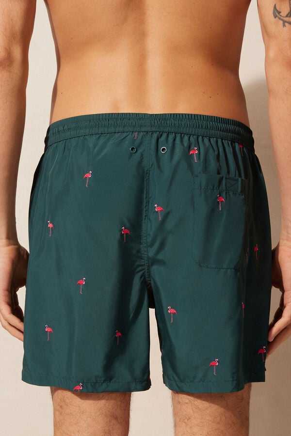 Intimssimi Embroidered Flamingo Swim Trunks Green | LUSSX99321