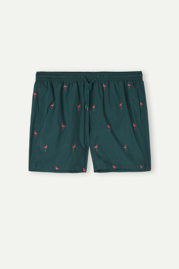 Intimssimi Embroidered Flamingo Swim Trunks Green | LUSSX99321