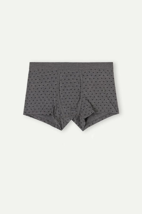 Intimssimi Lily Boxers in Stretch Supima® Cotton Grey | FUSHY88055