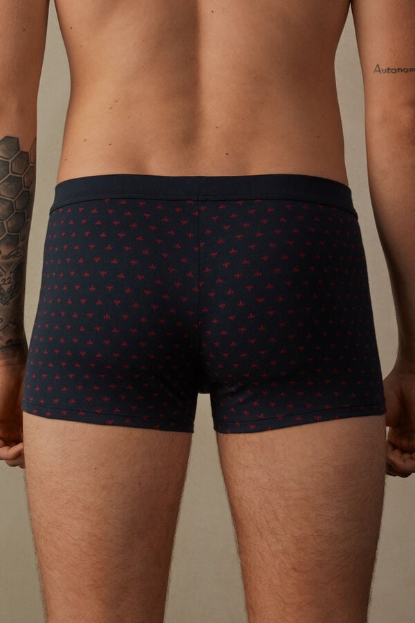 Intimssimi Lily Boxers in Stretch Supima® Cotton Blue | QUSUV20463