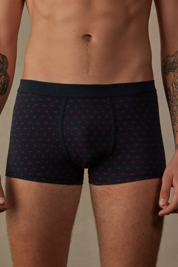 Intimssimi Lily Boxers in Stretch Supima® Cotton Blue | QUSUV20463