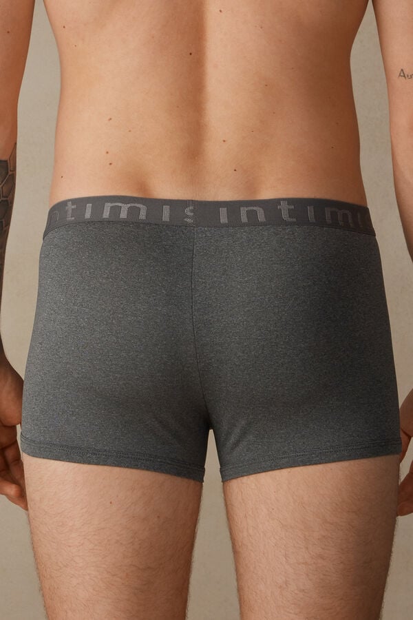 Intimssimi Microfiber Logo Boxer Shorts Dark Grey | USICD96844