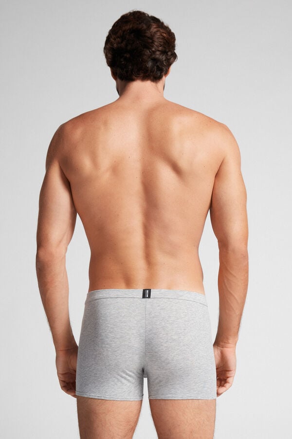 Intimssimi Natural Fresh Supima® Cotton Boxers Grey | USCIF48502