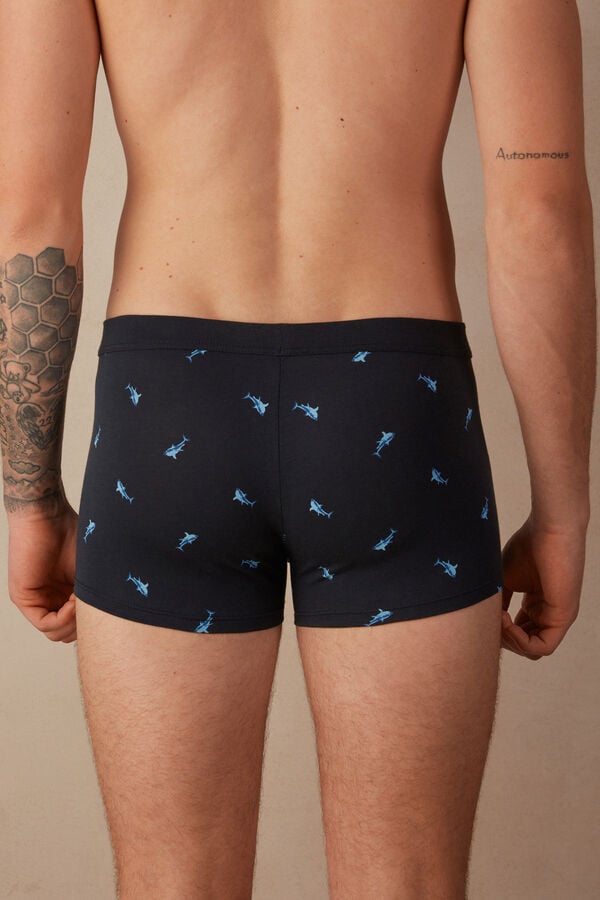 Intimssimi Shark Boxers in Natural Fresh Supima® Cotton Blue | UUSND88734