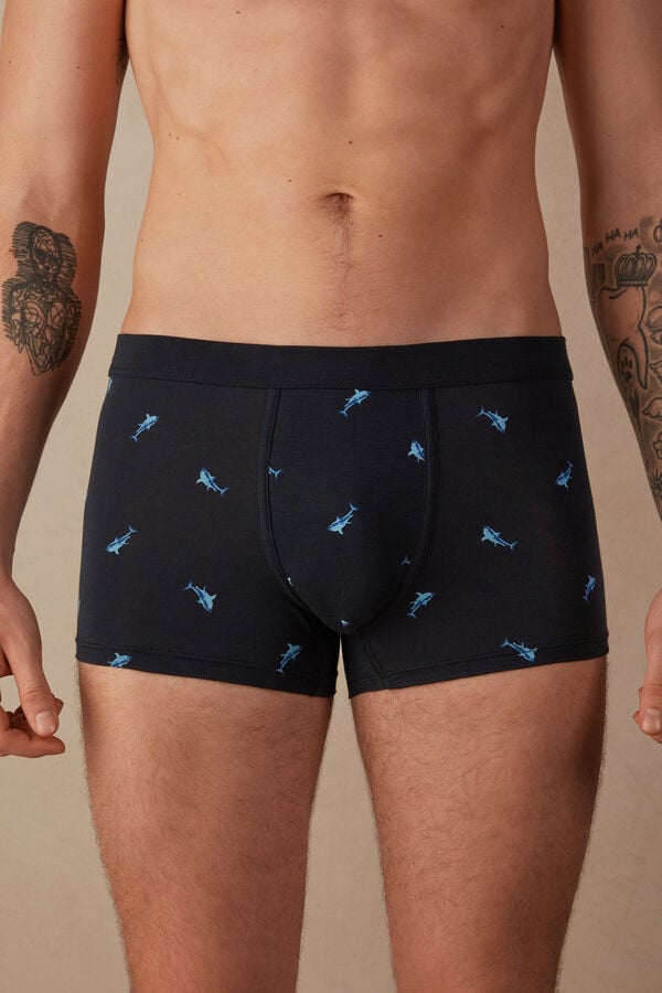 Intimssimi Shark Boxers in Natural Fresh Supima® Cotton Blue | UUSND88734