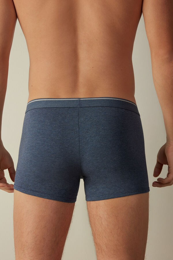 Intimssimi Supima® Cotton Boxers Blue | GUSUC20183