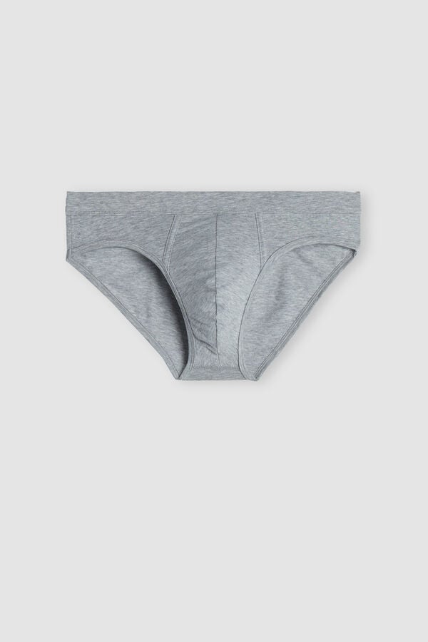 Intimssimi Supima® Cotton Briefs Grey | USZPD52427