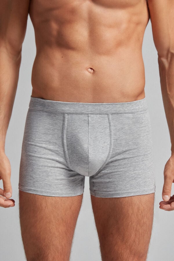 Intimssimi Supima® Cotton Loose Fit Boxers Grey | SUSNY54103