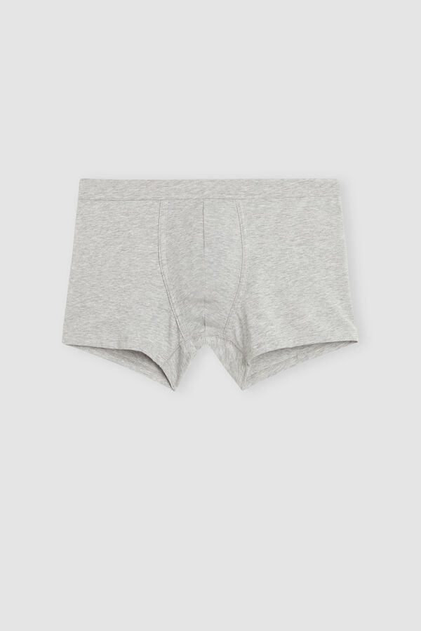 Intimssimi Supima® Cotton Loose Fit Boxers Grey | SUSNY54103