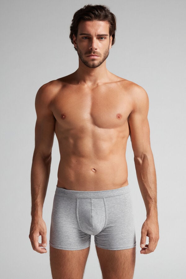 Intimssimi Supima® Cotton Loose Fit Boxers Grey | SUSNY54103